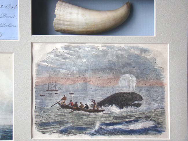 A framed group of 19th century Whaling items relating to the New Bedford whaler 'Andrew Hicks' — image 3
